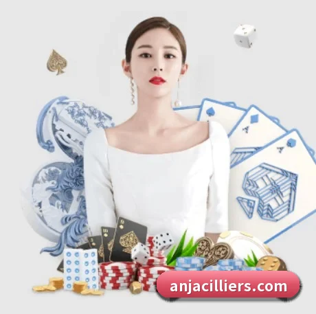 快速发展 - 业务规模迅速扩张,合作伙伴遍布全球,用户数量突破500万大关。